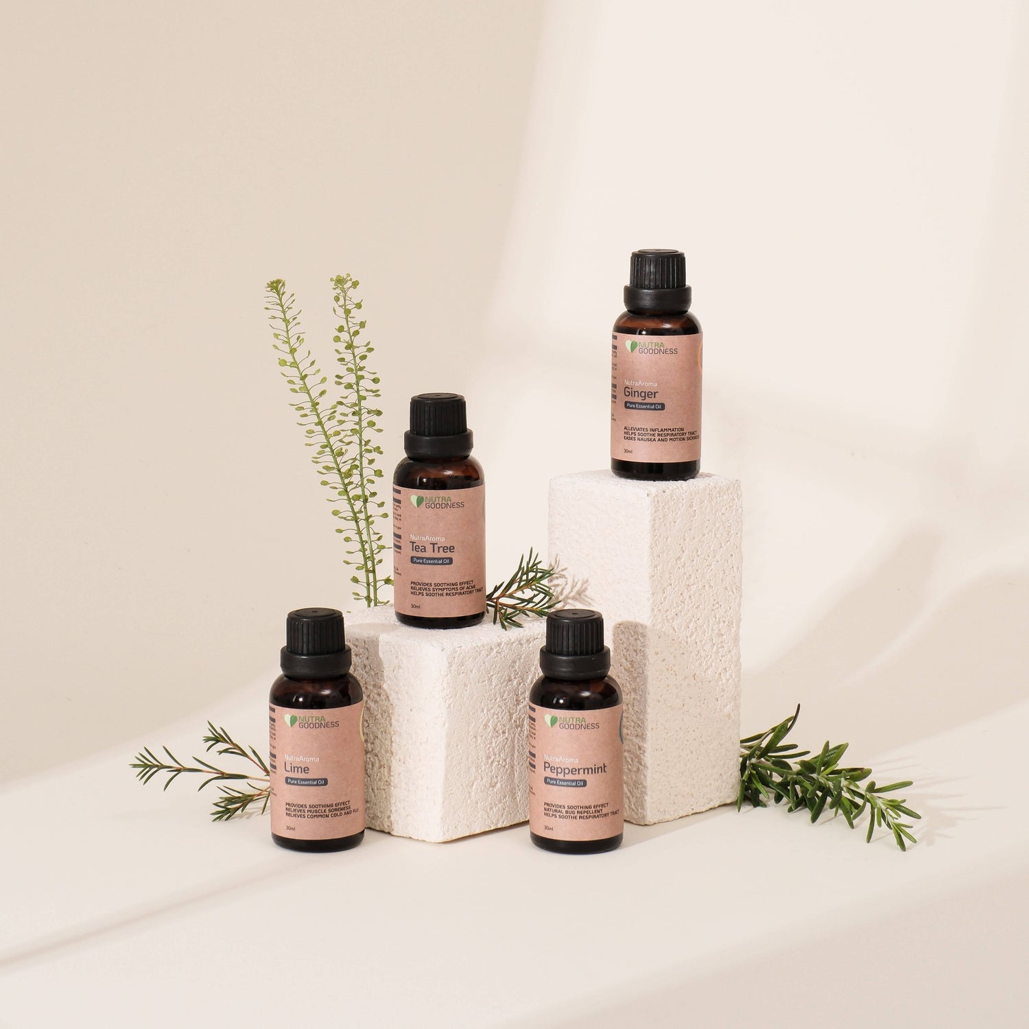 Everything You Need to Know About Essential Oils: Extraction, Uses & Benefits
