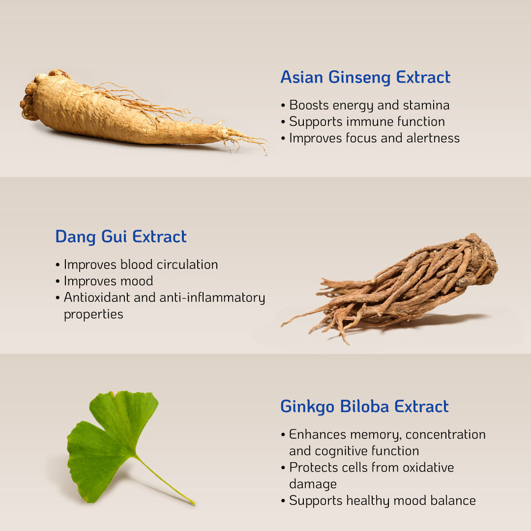 Nutra365 Brain Boost 60s - Promote Mental Alertness & Healthy Brain Function