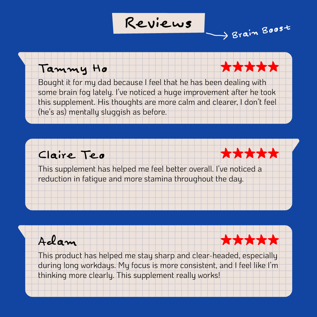 Nutra365 Brain Boost 60s - Promote Mental Alertness & Healthy Brain Function