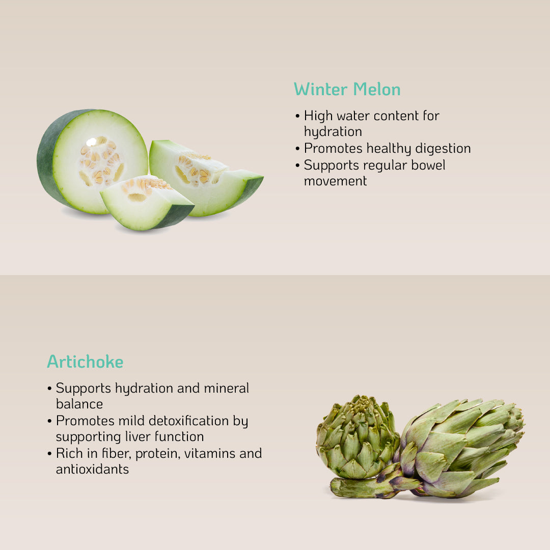 NutraBreeze DetoxCool (Corn/Winter Melon) 10s - Provide Hydration & Support Electrolyte Balance