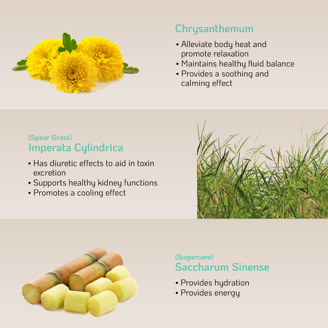 Nutra Goodness NutraBreeze DetoxCool (Corn/Winter Melon) 10s - Provide Hydration & Support Electrolyte Balance