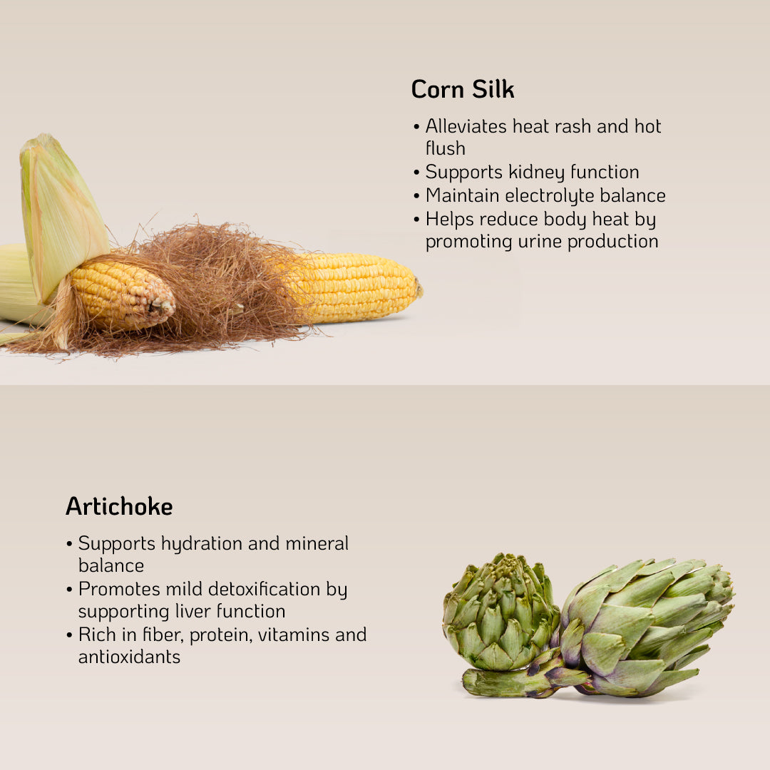 Nutra Goodness NutraBreeze DetoxCool (Corn/Winter Melon) 10s - Provide Hydration & Support Electrolyte Balance