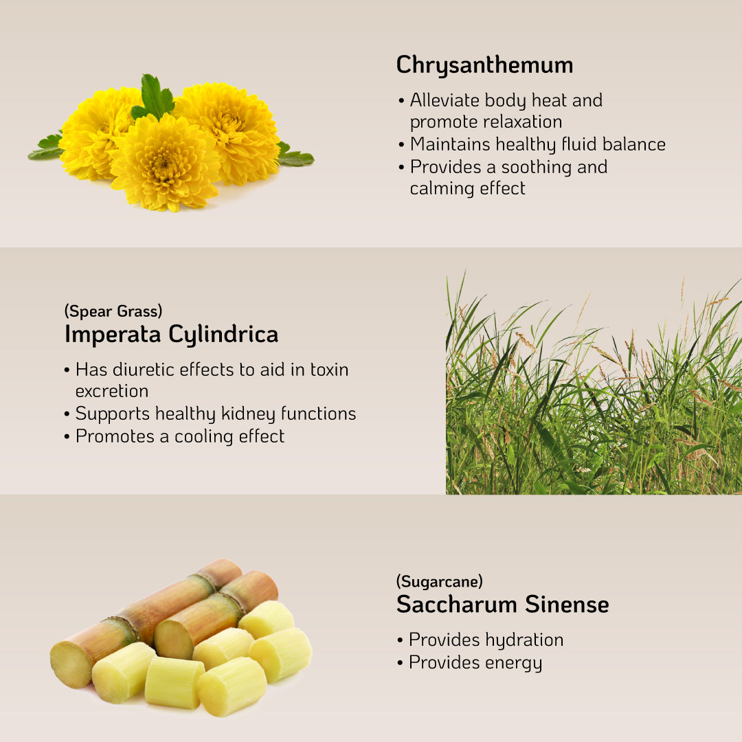 NutraBreeze DetoxCool (Corn/Winter Melon) 10s - Provide Hydration & Support Electrolyte Balance