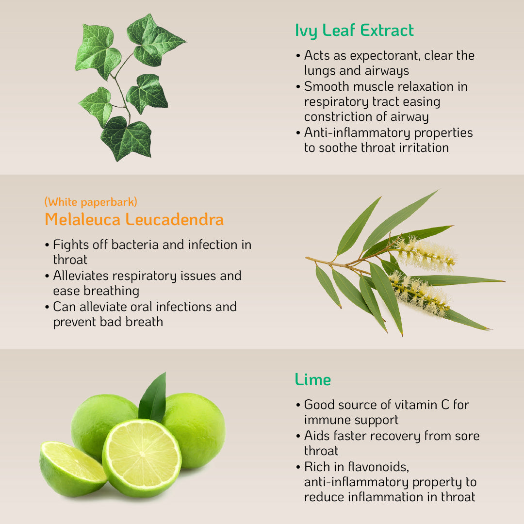 Nutra Goodness Corporate Care Pack