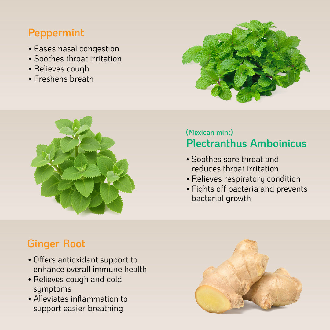 NutraSooth Sugar-Free Herbal Lozenges (Original/Orange) - Soothe Sore Throat & Ease Cold Symptoms