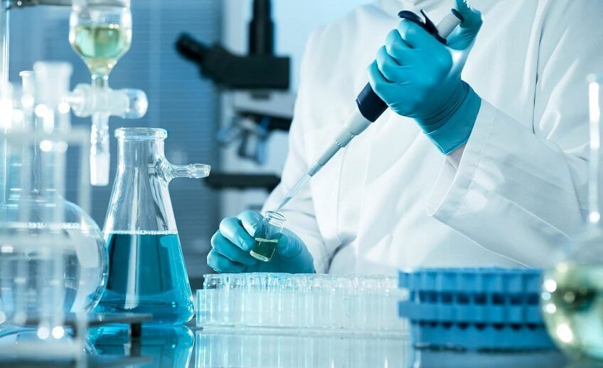 Unlocking the Future of Nutrient Absorption: SNEDDS Nano Technology