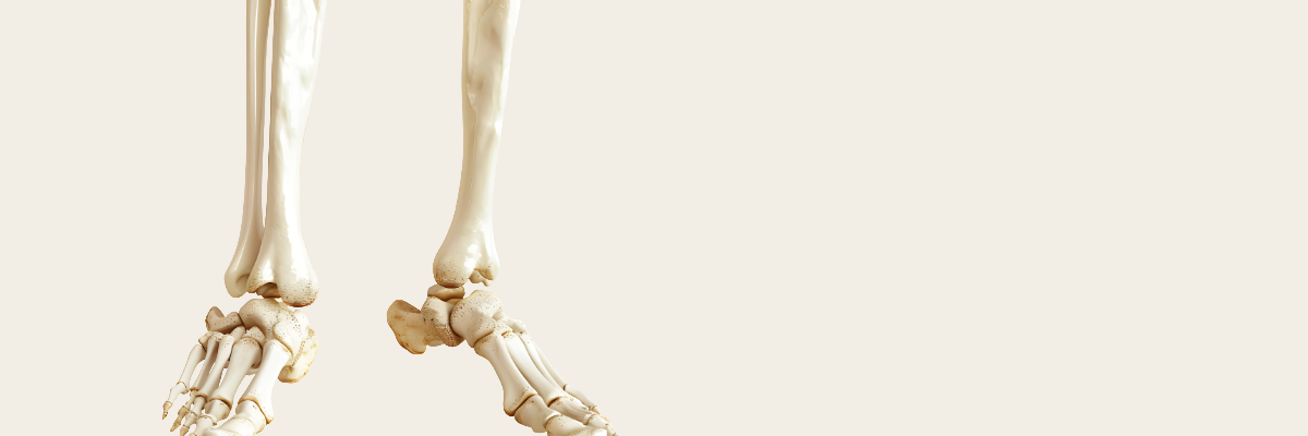 Strong From Within: The Ultimate Guide to Bone Health