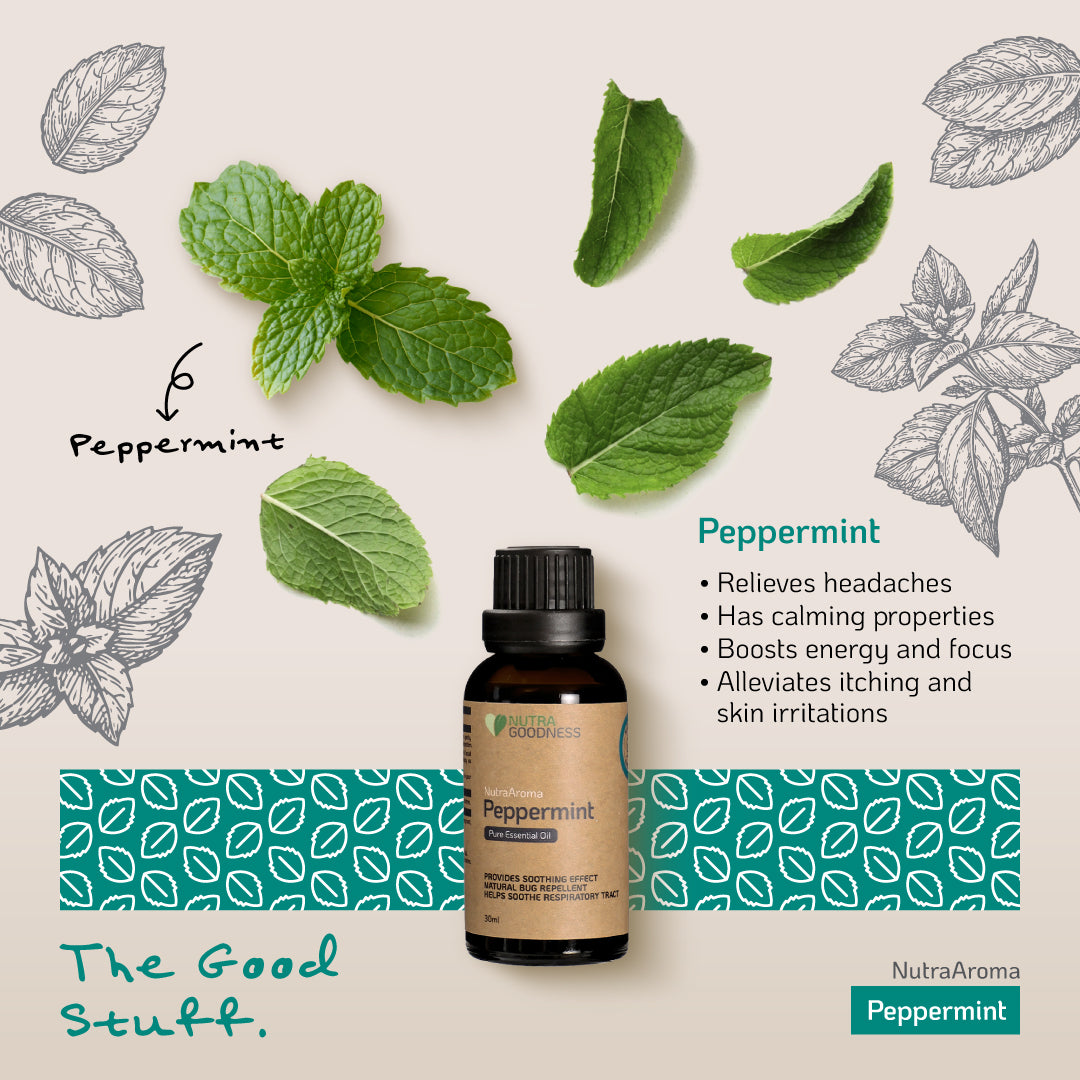 [Mix & Match] Nutra Goodness NutraAroma Pure Essential Oil 30ml - Peppermint/Lime/Ginger/Tea Tree