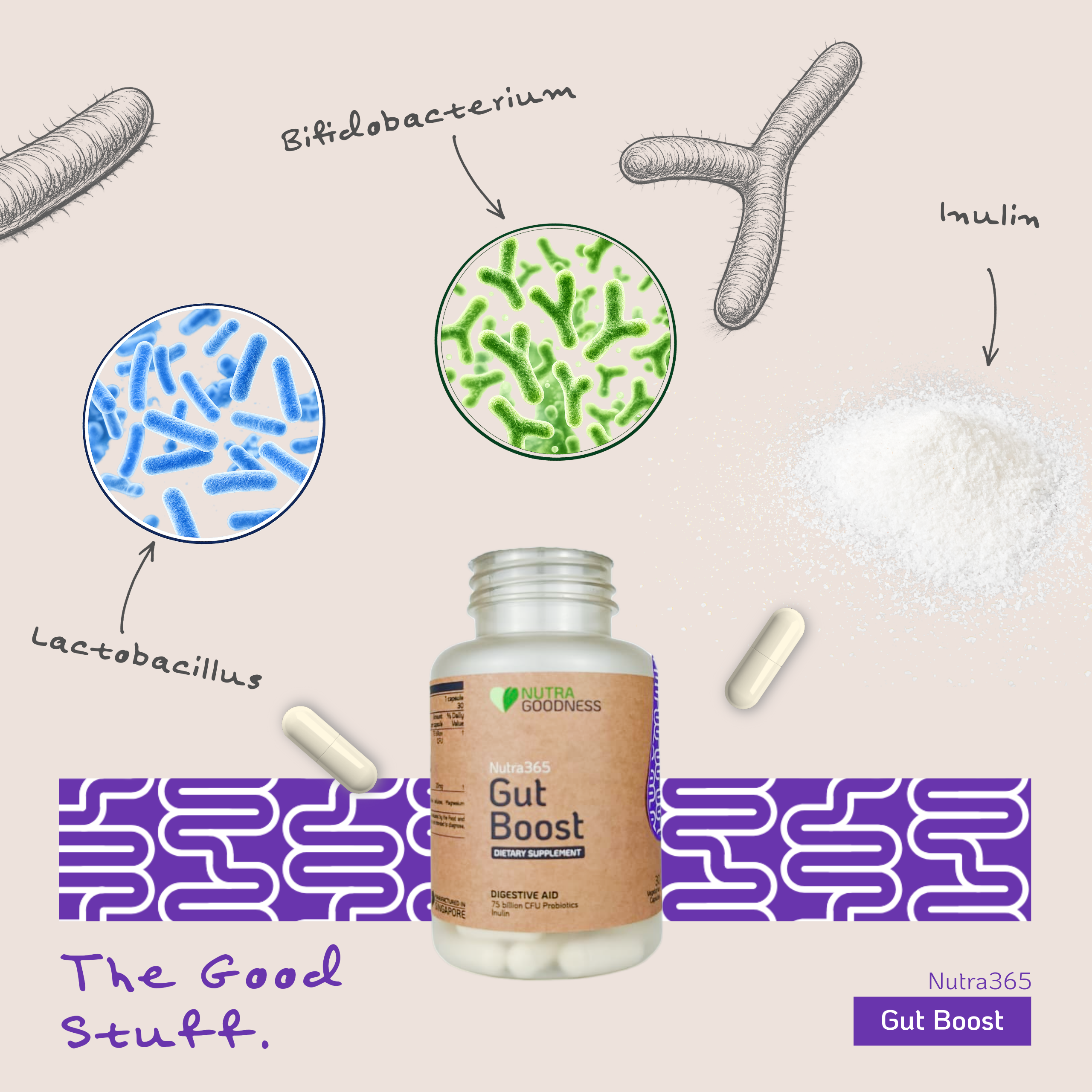 Nutra365 Gut Boost 30s - Support Gut & Digestive Health