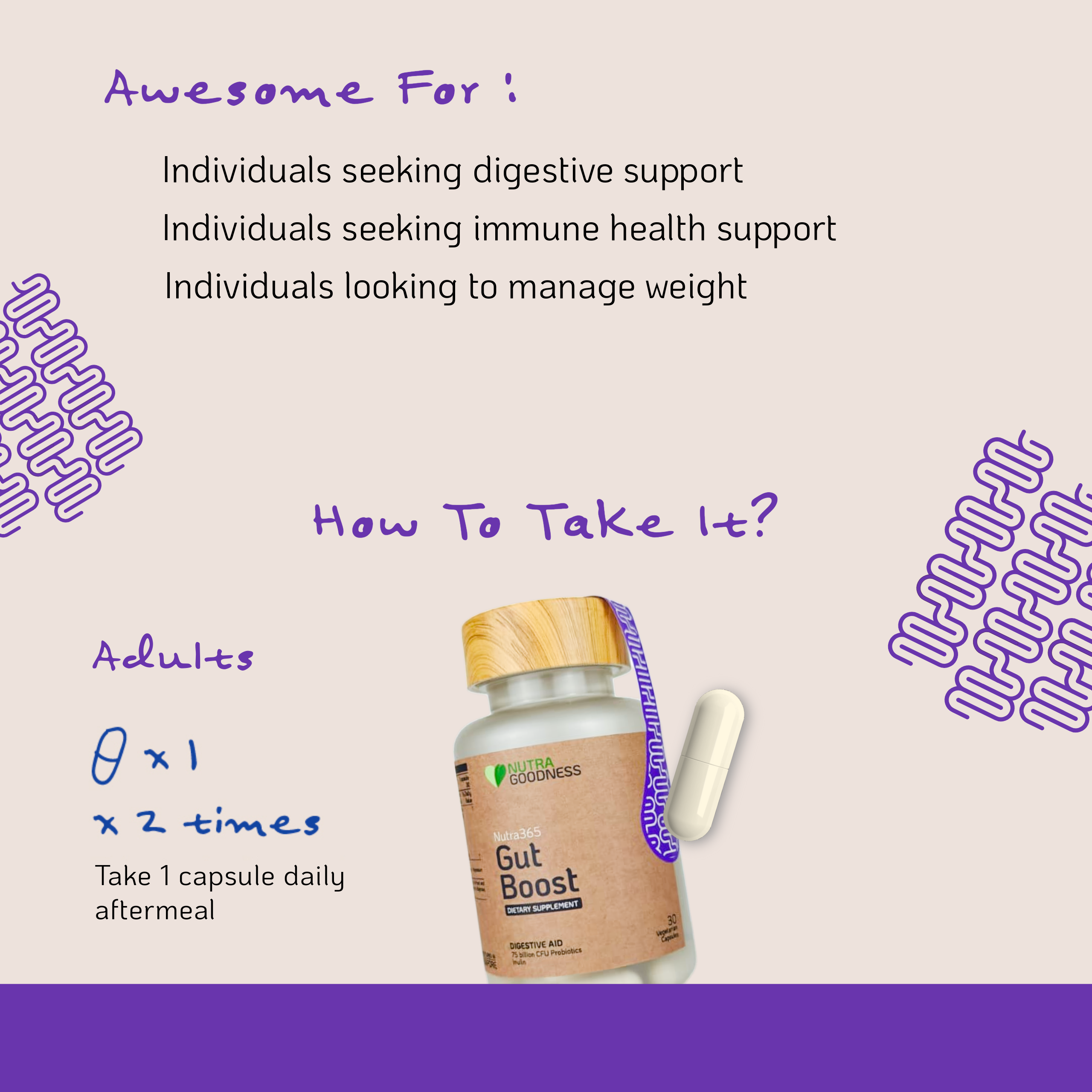 Nutra365 Gut Boost 30s - Support Gut & Digestive Health